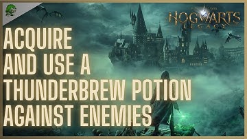 Hogwarts Legacy Acquire and use a Thunderbrew Potion against enemies
