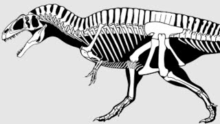 Acrocanthosaurus Stk