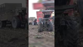 #masseyferguson #shortsfeed #viral #trending #farmingvideos #shortsviral #tractor #shorts