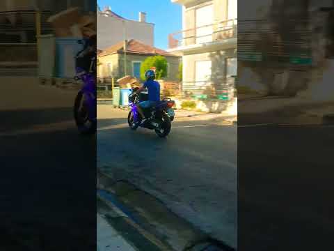 FZS 600 FASER