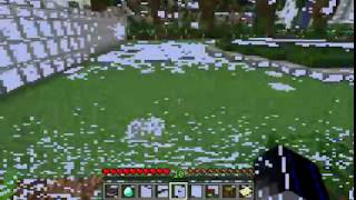 Test run minecraft with FRAPS on Windows 10. Need Help!