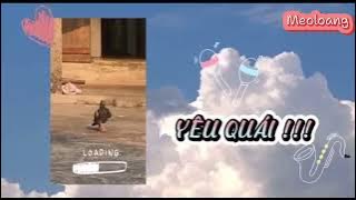 Chill TikTok ||Vì nang la yeu quai~~~