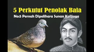Download Lagu 5 PERKUTUT PENOLAK BALA || Nomer 5 Pernah Dipelihara Oleh Sunan Kalijaga || MP3