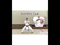 Sko karate wr kata tekki sandan shotokan