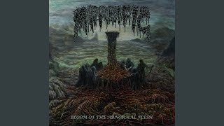 Menagerie Of Grotesque Trophies