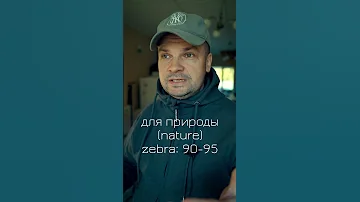 Зебра на камере Sony A7c, настройки, как не пересветить картинку #shots