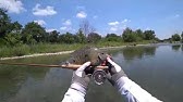 Fishing For World Record Trophy Texas Rio Grand Cichlids World Record Caught And Released Youtube