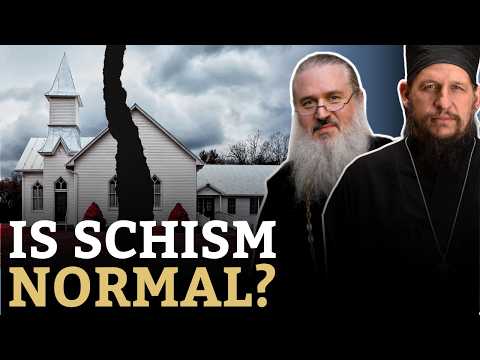 The Protestant View of SCHISM