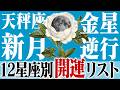 金星逆行と天秤座新月：星のエネルギーを味方につける方法