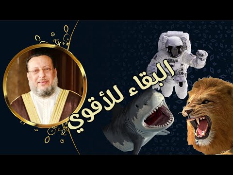 هل تعرف معنى البقاء للأقوي؟ د محمد الزغبي