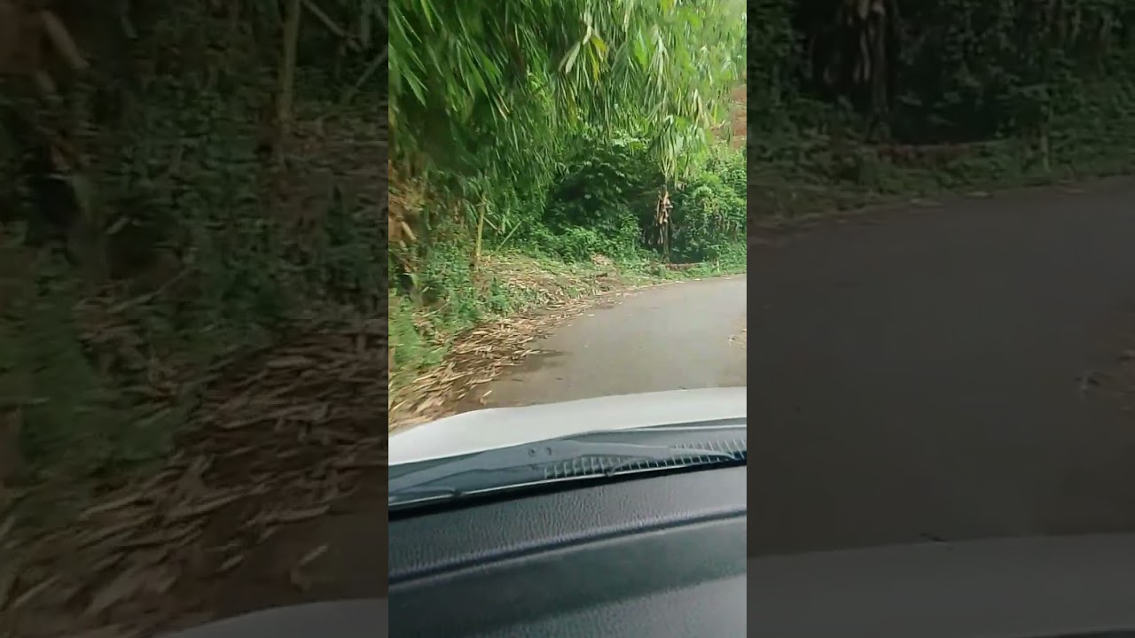 Nyasar Gara Gara Map