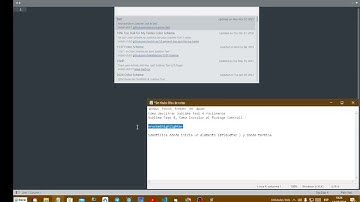 Sublime Text 4 : Instalar Control de Paquetes