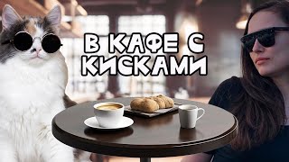 Кошачья общага//Впервые в котокафе