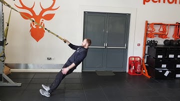 Single arm TRX Inverted Row