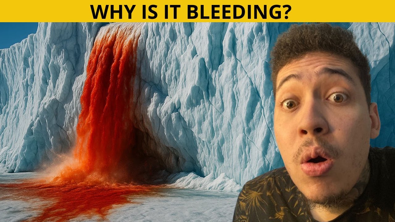 Creepiest Things Ever Found in Antarctica