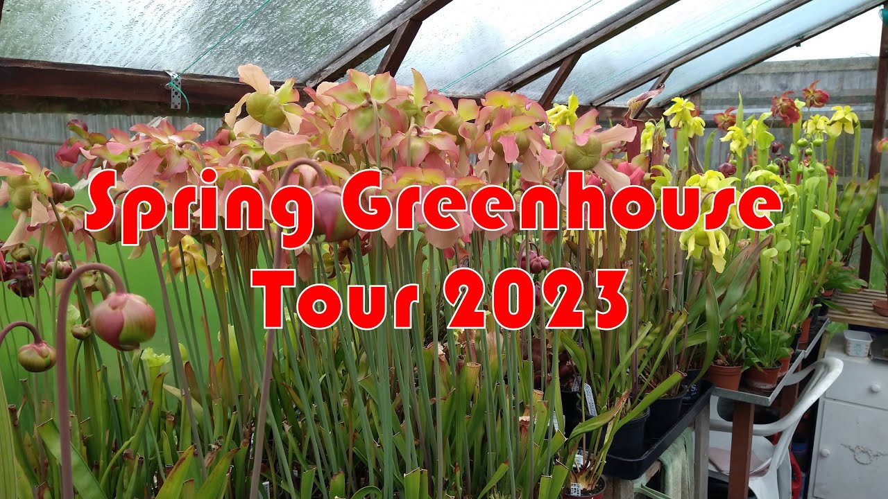 Carnivorous Plants - Spring Greenhouse Tour 2023