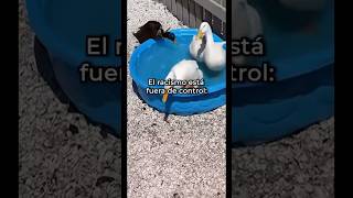El Racismo Esta Fuera De Contro