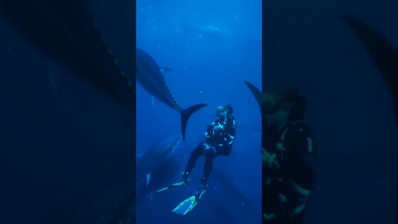 HUGE BLUEFIN TUNA! 🐟 