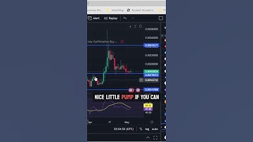 Raptoreum  The CPU Mineable Coin with a Bright Future