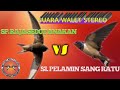Suara Walet Stereo Sp Raja Sedot Anakan Vs Si Pelamin Sang Ratu Mp3 - Mp4 Download
