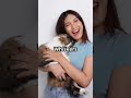 Dancing Cat: The Feline Dance Sensation!
