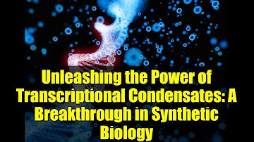 Unleashing the Power of Transcriptional Condensates: A Breakthrough in Synthetic Biology