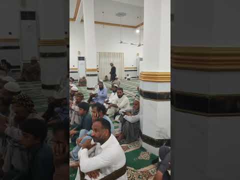 بخش جالب زنده