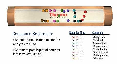 Thermo Scientific   How GC Columns Work