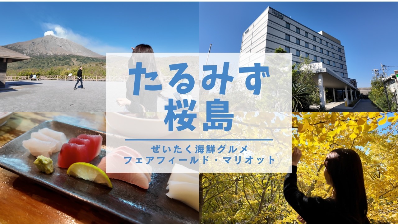 【鹿児島旅行】夫婦で行く垂水・桜島1日満喫ドライブ！フェアフィールド宿泊レビュー〜千本イチョウの絶景〜海の桜勘ランチ〜