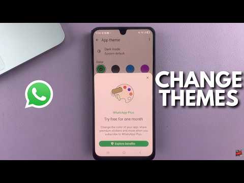 How To Change App Theme On WhatsApp