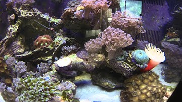 BioCube Time-Lapse