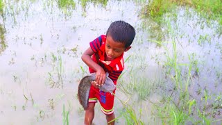 OMG, Little Boy Catching Big Catfish In The Mud Water!! Hand Fishing For Catfish