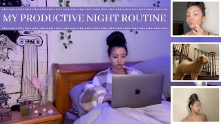 MY PRODUCTIVE NIGHT ROUTINE | healthy habits | tips | night skincare