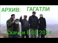 Архив: Скачки Гагатли 08.03.2014