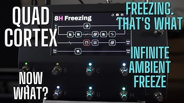 Quad Cortex - So What Now? Ambient Preset - Infinite Freeze