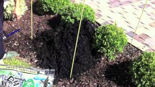 Calculating How Much Mulch to Use in Flower Beds