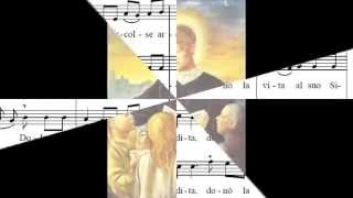 Video thumbnail of "Inno alla Santa Elisabetta Cerioli"