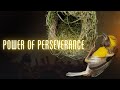 The power of perseverance
