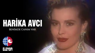 Harika Avcı - Benimde Canım Var Resimi