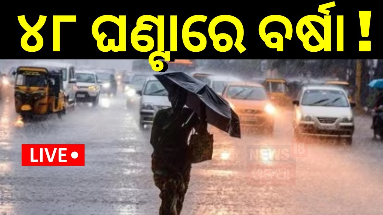 Live: ୪୮ ଘଣ୍ଟାରେ ବର୍ଷା ଆଲର୍ଟ | Heavy Rain Alert For Odisha In 48 Hours; Check IMD Updates