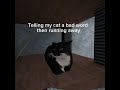 Telling my cat a bad word then running away #monkeycorp2 @uncmini