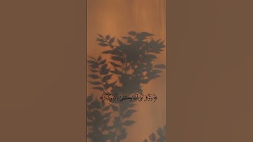سوره الاحزاب بصوت الشيخ محمد صديق المنشاوي #لايك #المصحف