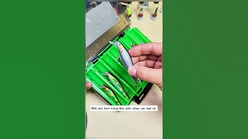 Chẽm, măng, lóc, vược... các loại cá săn mồi đều khó cưỡng lại con mồi này #fishing #moilure #cagia