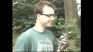 Hearing Conservation