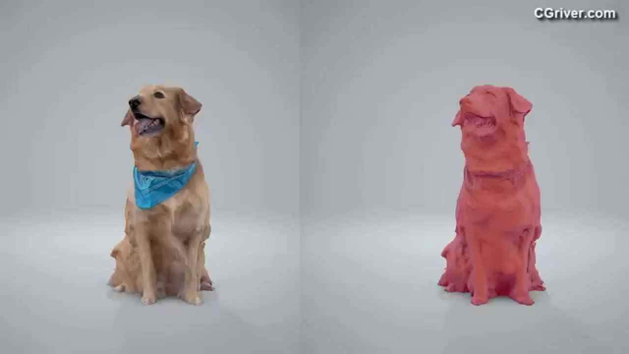model dog 3d sketchup Cinema Model: Dog 3D 4D Human 3ds Max, for Realistic