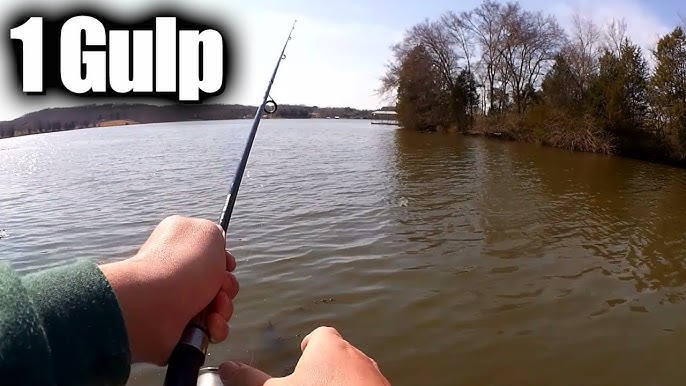 How to WACKY RIG a GULP MINNOW - NEW WAY to Fish with Gulp! 