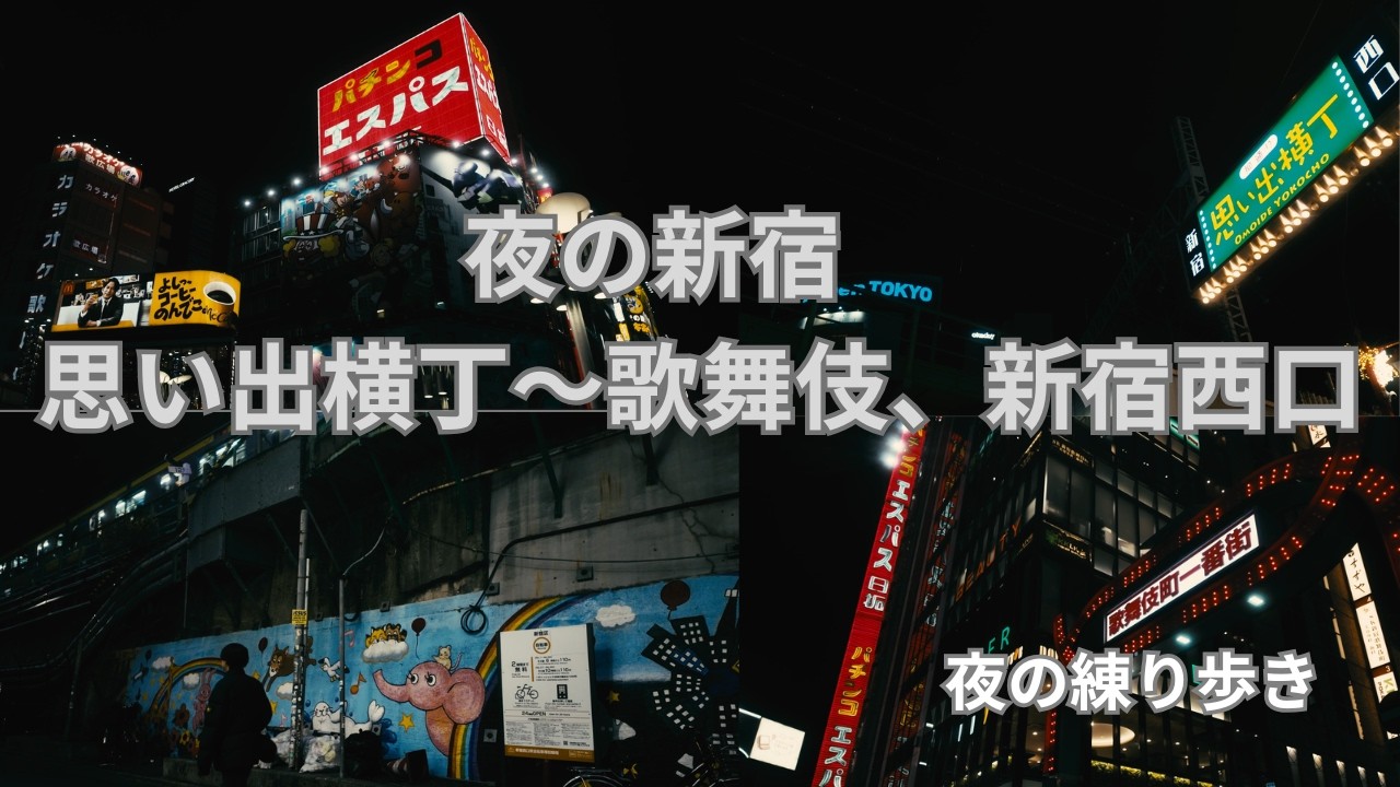 【ぼっち散歩Vlog】 夜の新宿 思い出横丁、歌舞伎町、西口の電気街 練り歩き旅！4K動画