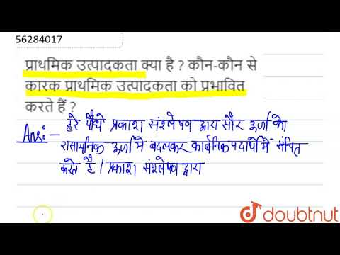 वीडियो: कौन से कारक उत्पादकता को प्रभावित करते हैं?