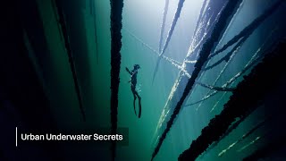 A Dirty Urban Fjord with Some Clean Secrets