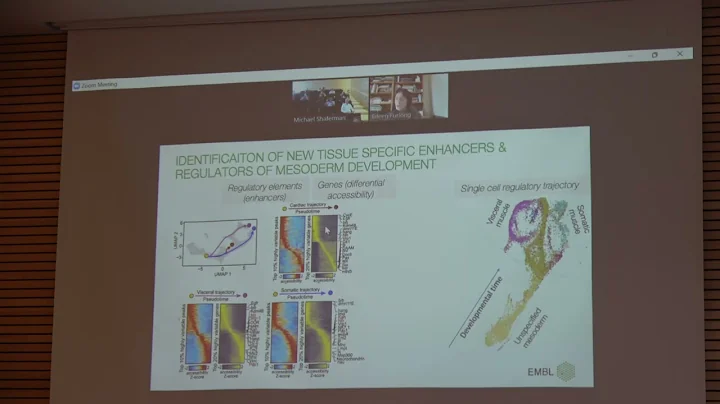 Plasticity and Constancy: Eileen Furlong